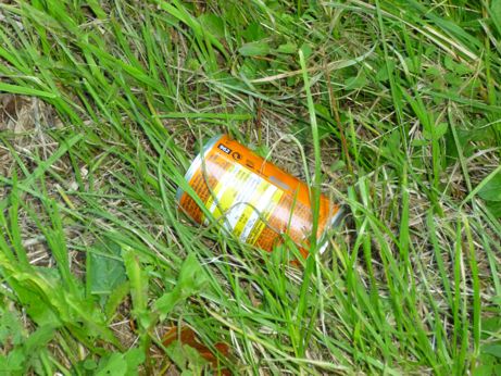 Canette au bord de la route